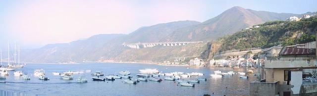scilla.JPG
