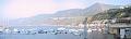 scilla