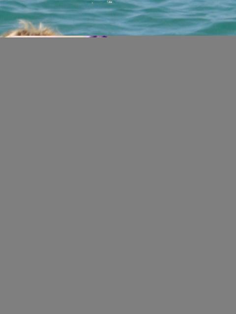 2007-08-17_11-20-27.JPG